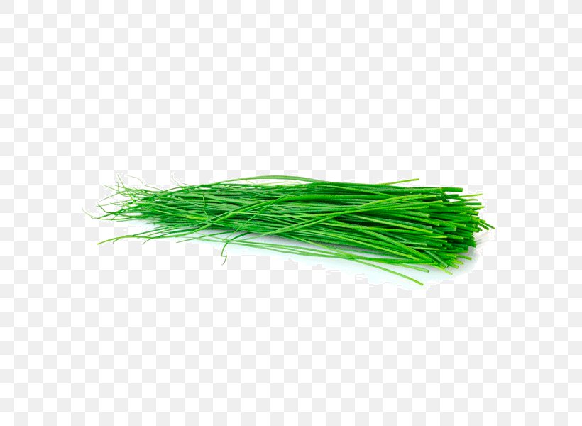 Green, PNG, 600x600px, Green, Grass, Grass Family Download Free