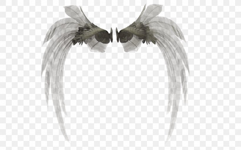 3D Rendering Wings 3D, PNG, 1024x639px, 3d Computer Graphics, 3d Rendering, Beak, Bird, Black And White Download Free