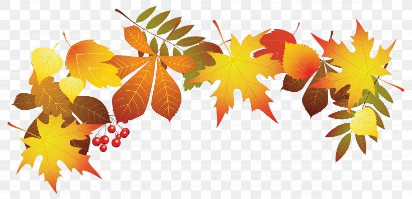 Autumn Leaf Color Clip Art, PNG, 6759x3276px, Autumn, Autumn Leaf Color, Blog, Color, Leaf Download Free