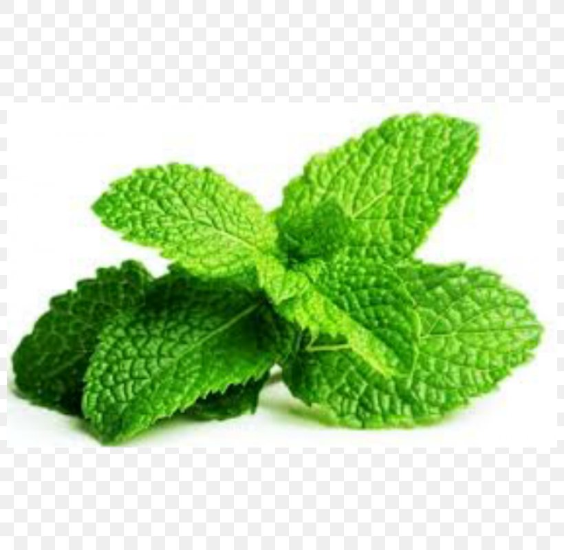 Chewing Gum Peppermint Mentha Spicata Herb Leaf, PNG, 800x800px, Chewing Gum, Eating, Essential Oil, Flavor, Health Download Free