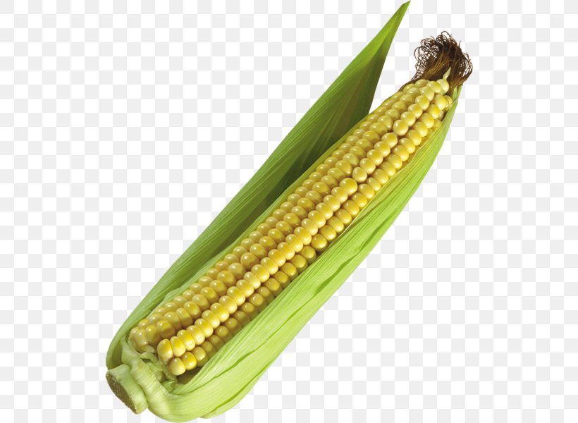 Corn On The Cob Clip Art Sweet Corn GIF, PNG, 522x600px, Corn On The Cob, Commodity, Corn, Corn Kernels, Corncob Download Free