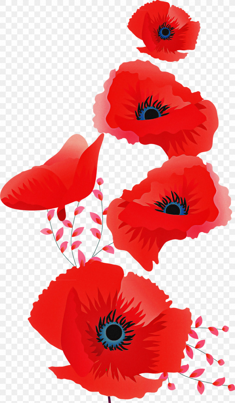 Floral Design, PNG, 932x1600px, Poppy, Common Poppy, Cut Flowers, Floral Design, Flower Download Free