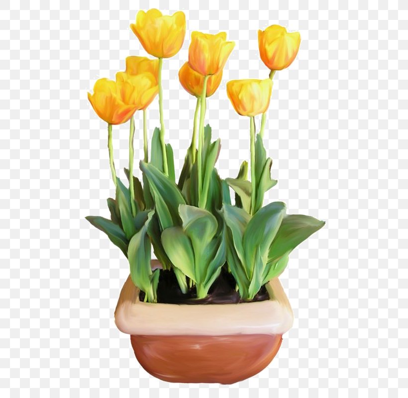 Flower Tulip Euclidean Vector Clip Art, PNG, 508x800px, Flower, Art, Artificial Flower, Cut Flowers, Designer Download Free