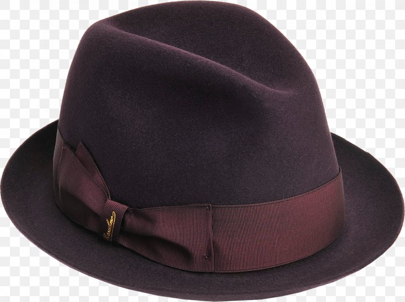 Hat Fedora Headgear Clothing Accessories Purple, PNG, 1200x896px, Hat, Brown, Clothing Accessories, Fashion, Fashion Accessory Download Free