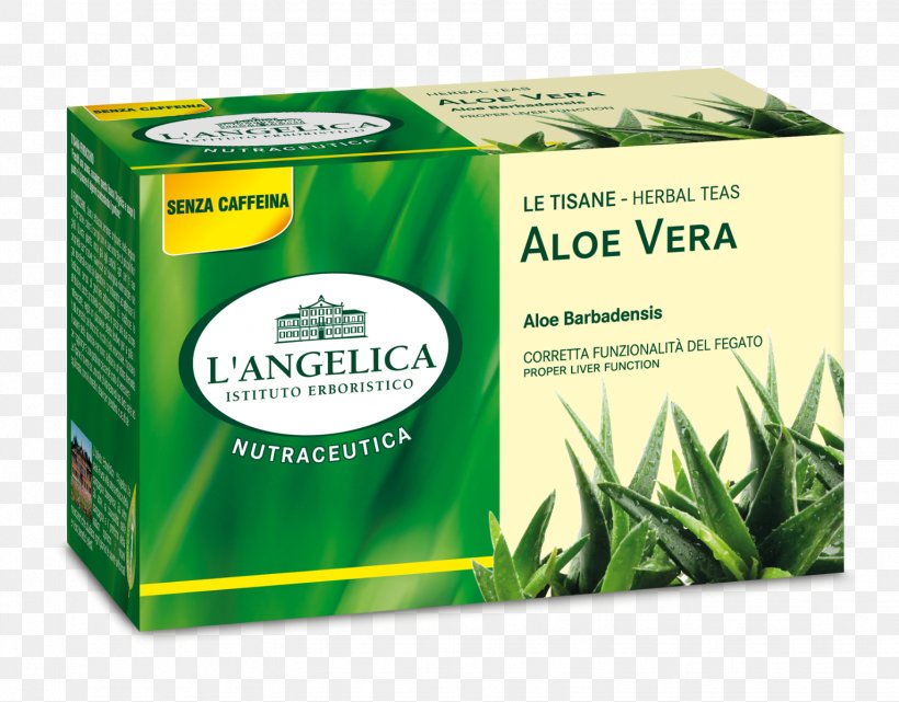 Herbal Tea Ginger Tea Amaro Fennel, PNG, 1533x1200px, Herbal Tea, Amaro, Angelica Archangelica, Anice, Anise Download Free