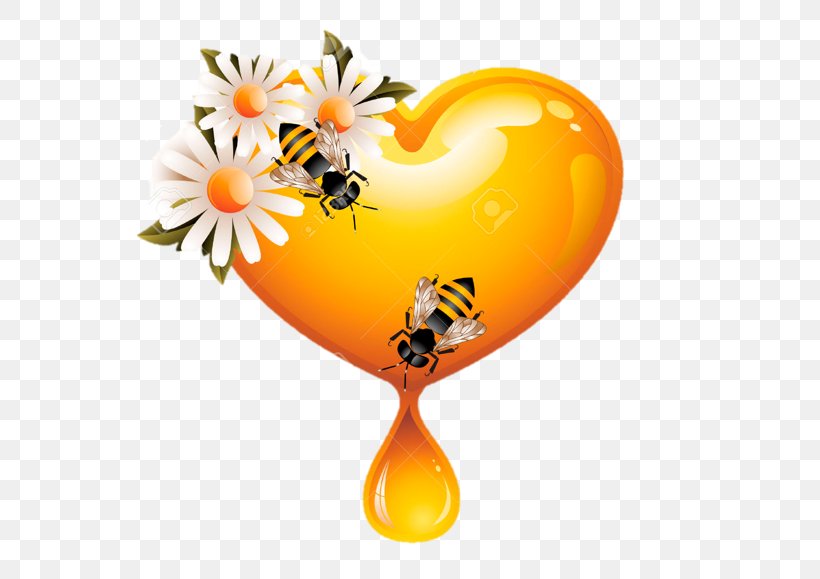 Honey Bee Honey Bee Clip Art, PNG, 579x579px, Bee, Heart, Honey, Honey Bee, Honeycomb Download Free