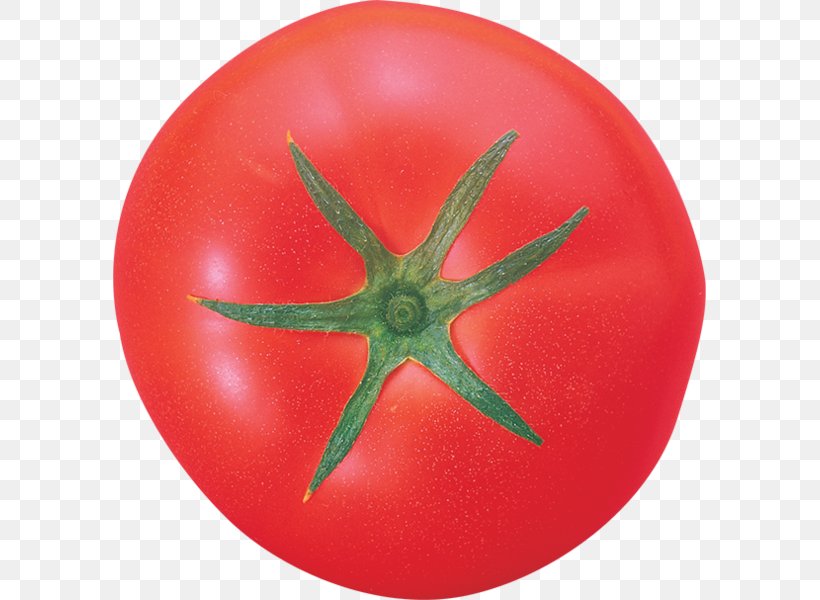 Vegetable Tomato Clip Art, PNG, 593x600px, Vegetable, Cherry Tomato, Depositfiles, Digital Image, Food Download Free