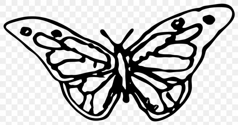 Butterfly Clip Art Vector Graphics Drawing, PNG, 1000x526px, Butterfly, Blackandwhite, Brushfooted Butterfly, Coloring Book, Drawing Download Free
