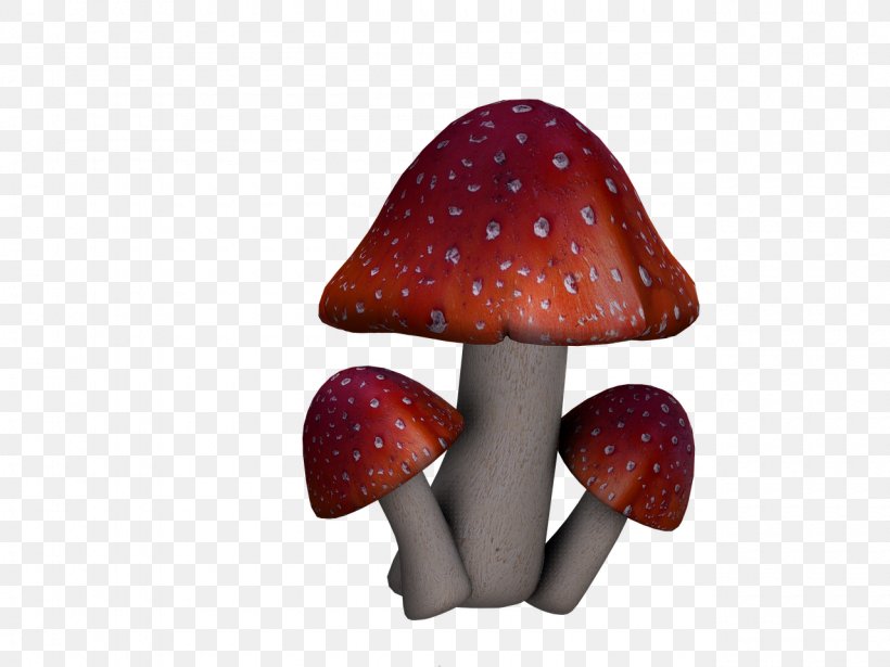 Edible Mushroom Amanita Muscaria Fungus Boletus Edulis, PNG, 1280x960px, Mushroom, Agaric, Amanita Muscaria, Boletus, Boletus Edulis Download Free