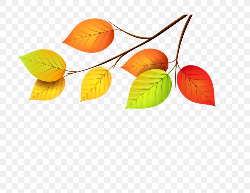 Leaf Clip Art, PNG, 699x633px, Leaf, Autumn, Autumn Leaf Color, Flower, Information Download Free