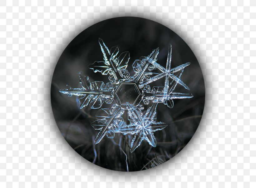 Snowflake Photography Crystal Image, PNG, 600x600px, Snowflake, Computer, Crystal, Dendrite, Drawing Download Free