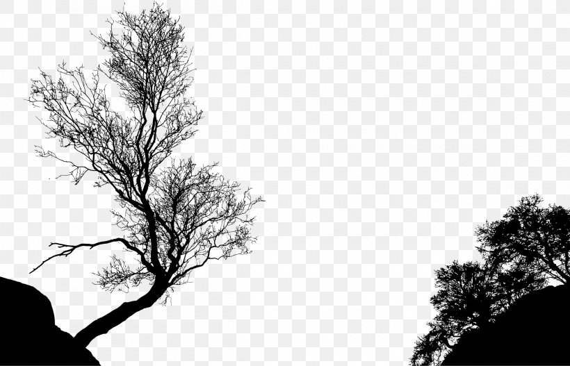 Tree Silhouette Branch Clip Art, PNG, 2400x1545px, Tree, Black And White, Branch, Cedar, Drawing Download Free