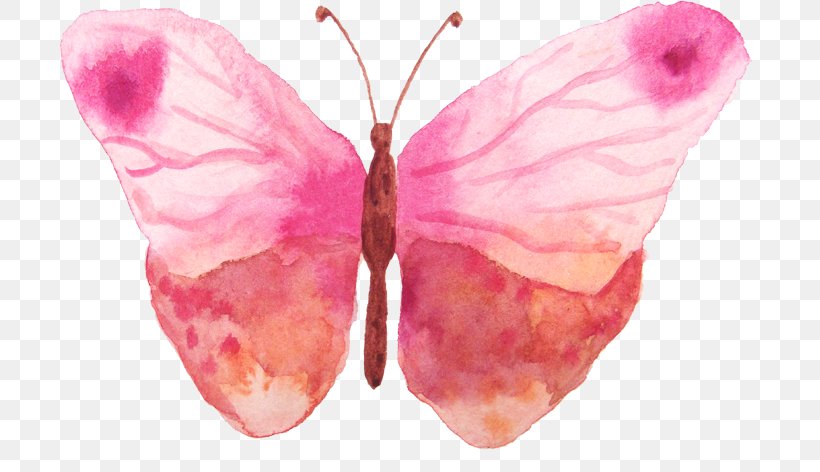 Butterfly Watercolor Painting, PNG, 700x472px, Butterfly, Arthropod, Butterflies And Moths, Drawing, Insect Download Free