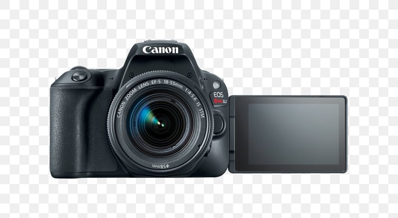 Canon Eos Rebel SL2 DSLR Camera With 18-55mm + 75-300mm Dual Zoom Lens Kit Pro Bundle Canon EF-S 18–55mm Lens Digital SLR Canon EOS Rebel SL2 24.2 MP SLR, PNG, 675x450px, Digital Slr, Active Pixel Sensor, Apsc, Camera, Camera Accessory Download Free