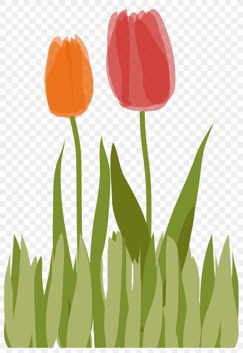Tulip Clip Art Illustration Plant Stem Petal, PNG, 2153x3135px, Tulip, Flower, Flowering Plant, Grass, Lawn Download Free