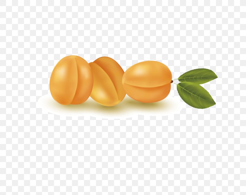 Apricot Euclidean Vector Auglis, PNG, 650x650px, Apricot, Auglis, Food, Fruit, Gratis Download Free