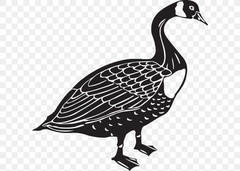 Canada Goose Bird Clip Art, PNG, 600x584px, Goose, Beak, Bird, Black And White, Branta Download Free