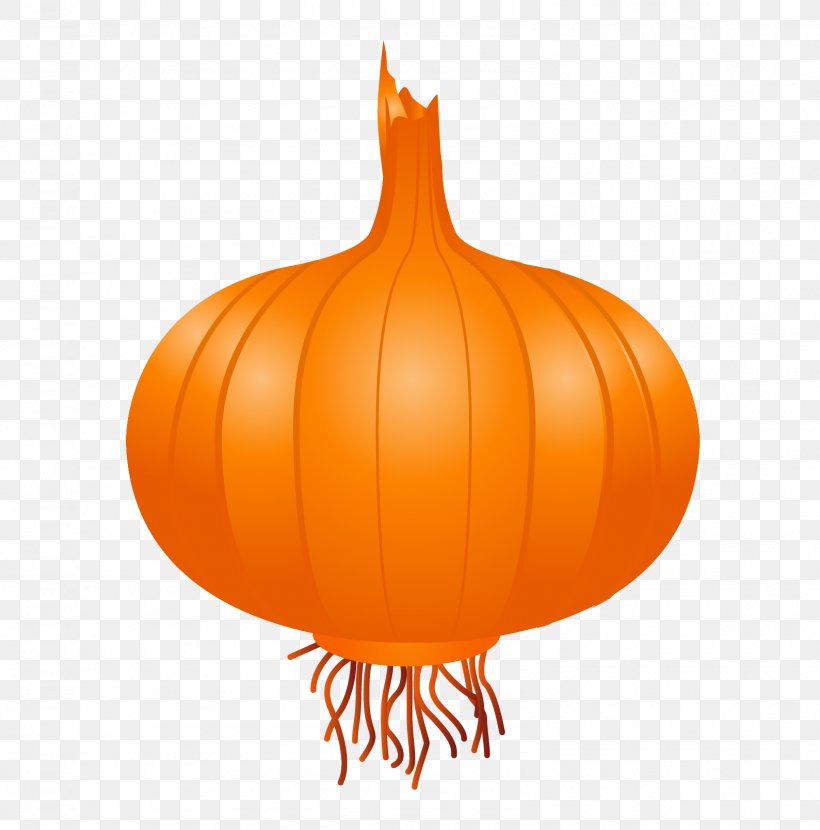 Onion Vegetable Icon, PNG, 1589x1610px, Onion, Calabaza, Cucurbita, Food, Fruit Download Free