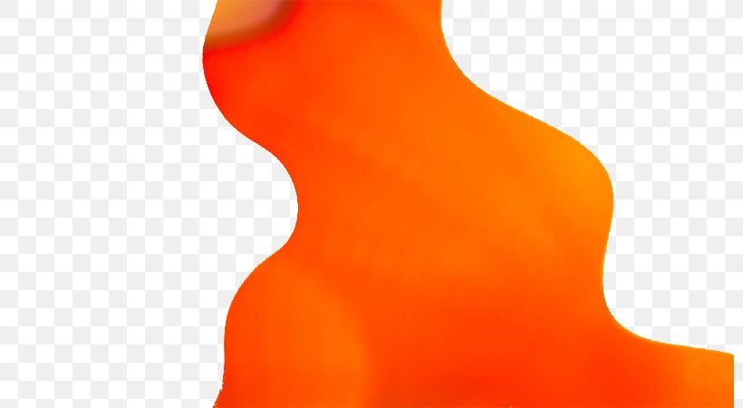 String Instruments Neck, PNG, 800x450px, String Instruments, Musical Instruments, Neck, Orange, String Download Free