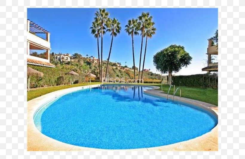 Swimming Pool Majorelle Blue Majorelle Garden Property Water Resources, PNG, 800x533px, Swimming Pool, Area, Blue, Estate, Grass Download Free