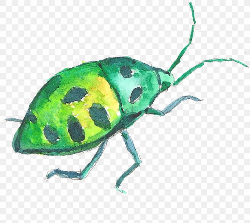 Volkswagen Beetle Watercolor Painting, PNG, 934x832px, Volkswagen Beetle, Arthropod, Beetle, Color, Color Chart Download Free