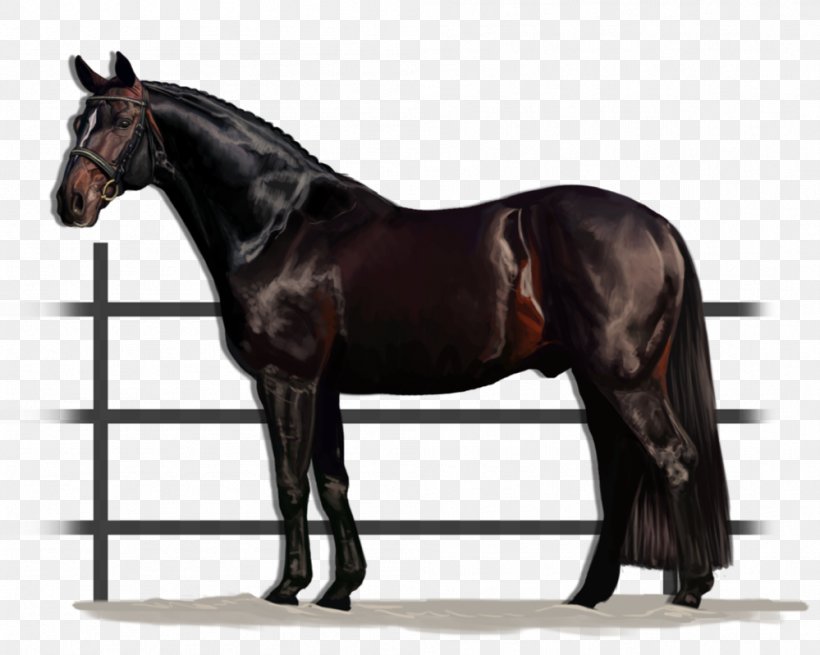 American Quarter Horse American Paint Horse Stallion Doc Bar Cutting, PNG, 999x799px, American Quarter Horse, American Paint Horse, Bit, Bridle, Colt Download Free