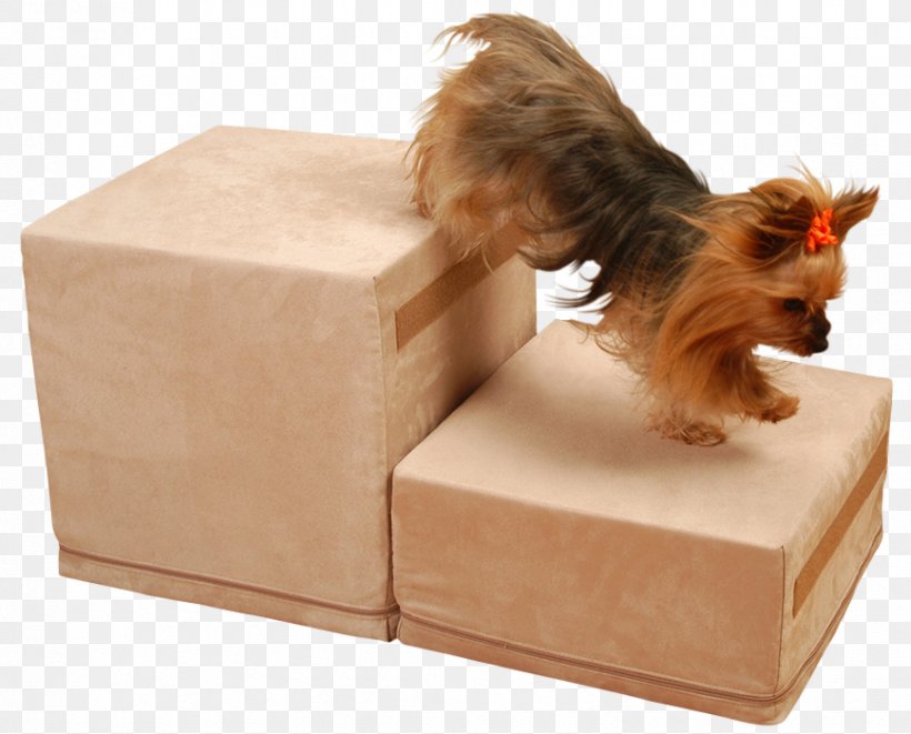 Dog Breed Cat Pet Dog Crate, PNG, 868x700px, Dog Breed, Bed, Box, Breed, Carnivoran Download Free