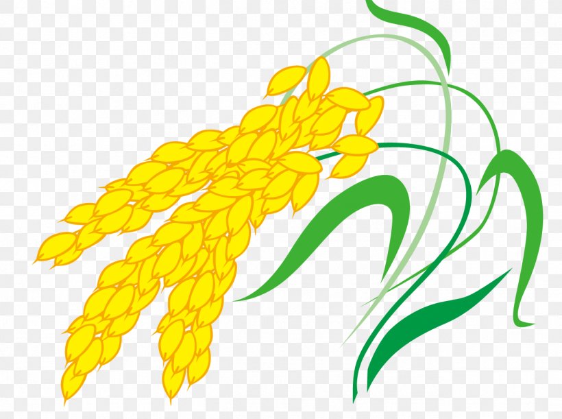 Euclidean Vector Clip Art, PNG, 1301x970px, Rice, Commodity, Flora, Flower, Flowering Plant Download Free