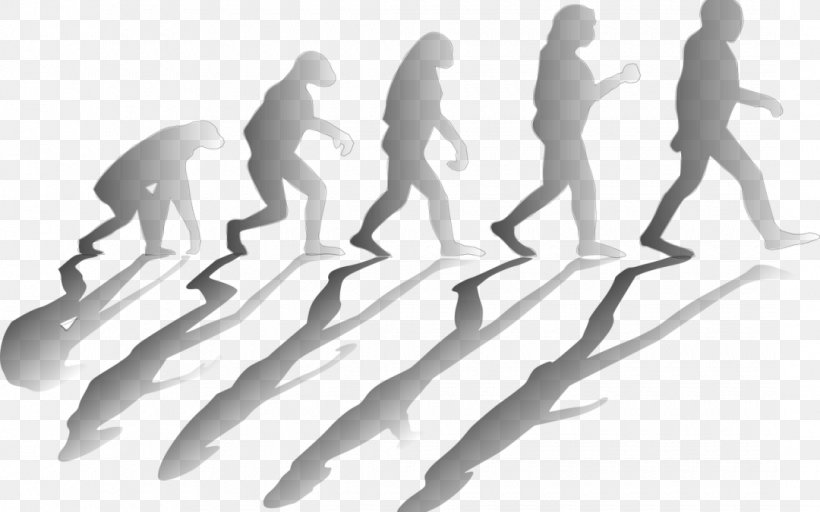 Evolution Scientific Theory Recent African Origin Of Modern Humans Science, PNG, 1080x675px, Evolution, Arm, Black And White, Charles Darwin, Concept Download Free