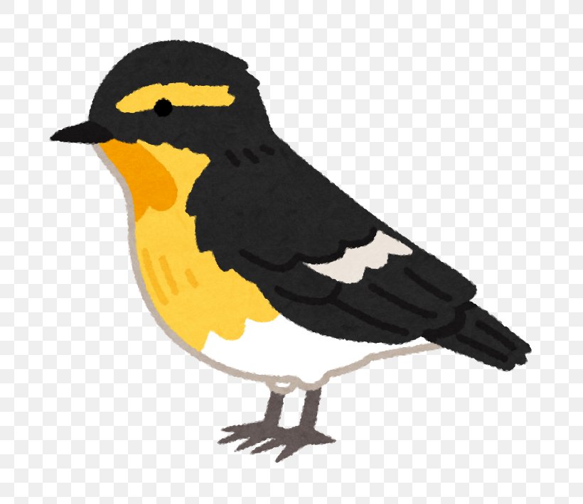 Illustration Clip Art Image Narcissus Flycatcher, PNG, 710x710px, Eye, Babesletza, Beak, Bird, Body Download Free