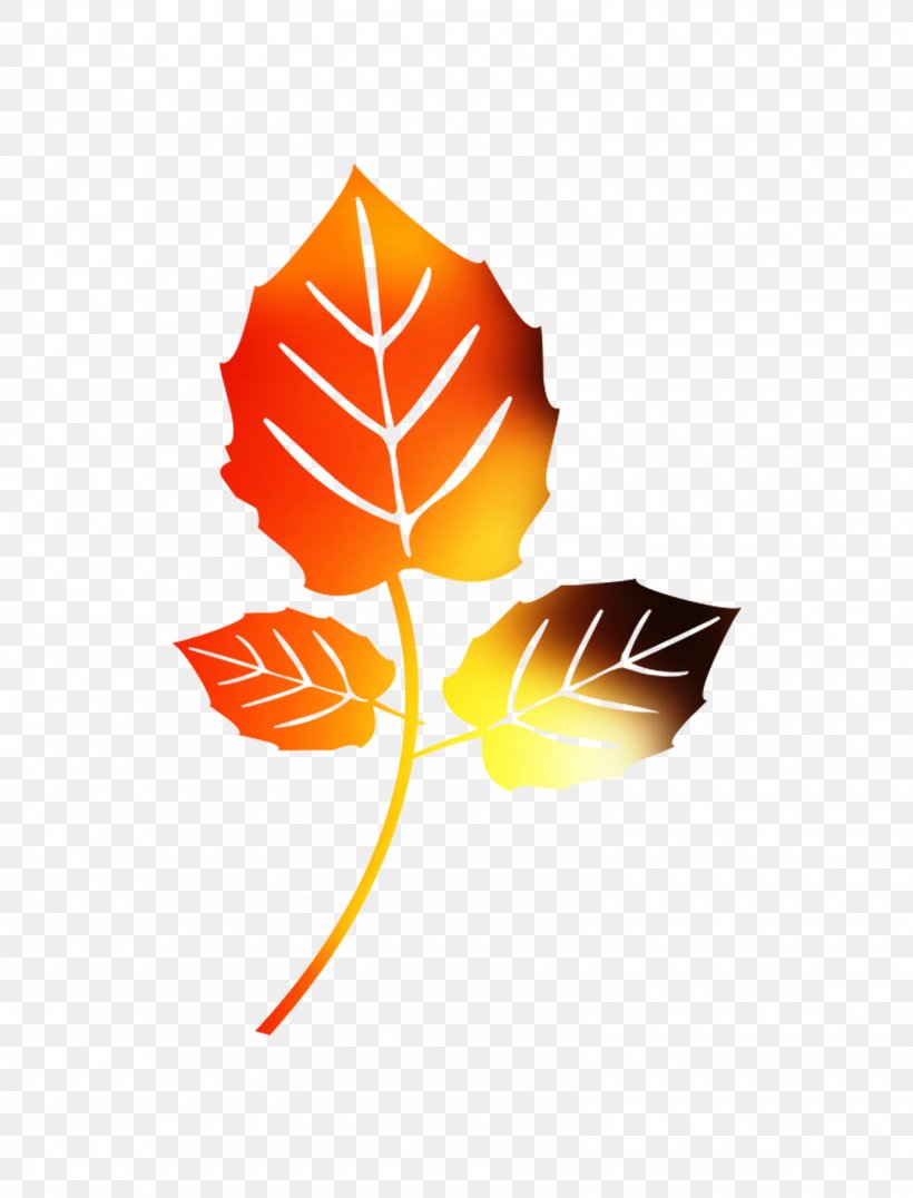 Banyan Image Leaf Vector Graphics, PNG, 1600x2100px, Banyan, Deciduous, Leaf, Logo, Maple Leaf Download Free