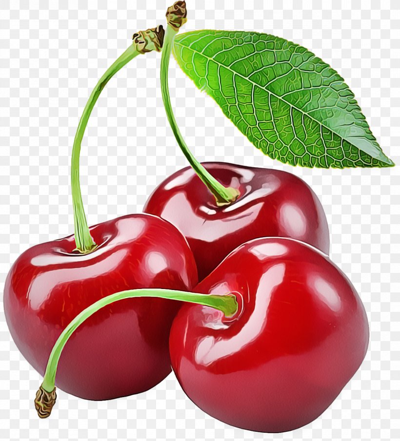Cherry Fruit Plant Natural Foods Food, PNG, 1166x1288px, Cherry, Acerola, Flowering Plant, Food, Fruit Download Free
