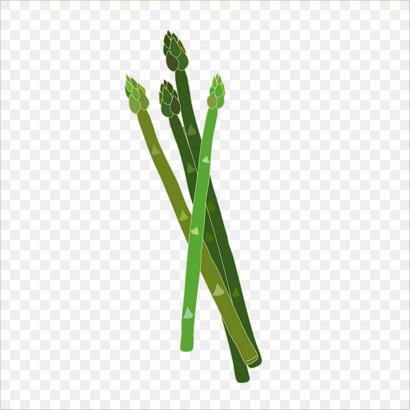 Plant Stem Plants Science Plant Structure Biology, PNG, 1440x1440px, Plant Stem, Biology, Plant Structure, Plants, Science Download Free