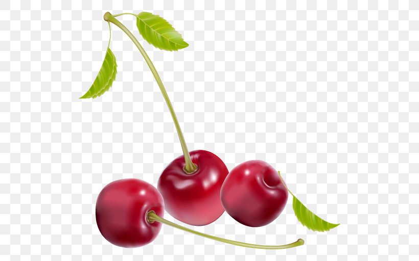 Vector Graphics Euclidean Vector Berries Illustration Photography, PNG, 512x512px, Berries, Acerola, Berry, Cherries, Cherry Download Free