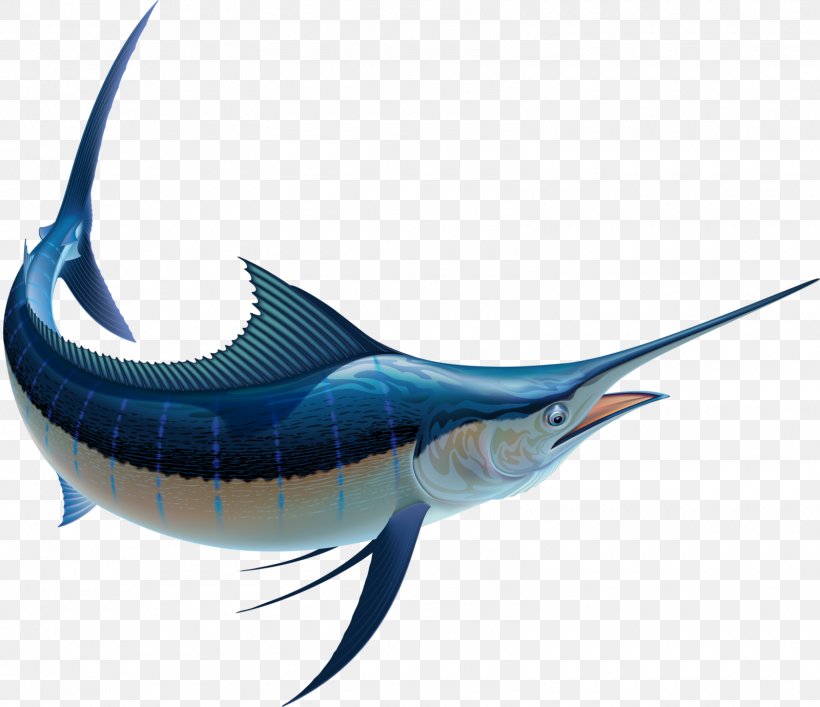Fish Cartoon, PNG, 1600x1380px, Swordfish, Atlantic Blue Marlin, Billfish, Bonyfish, Cartoon Download Free