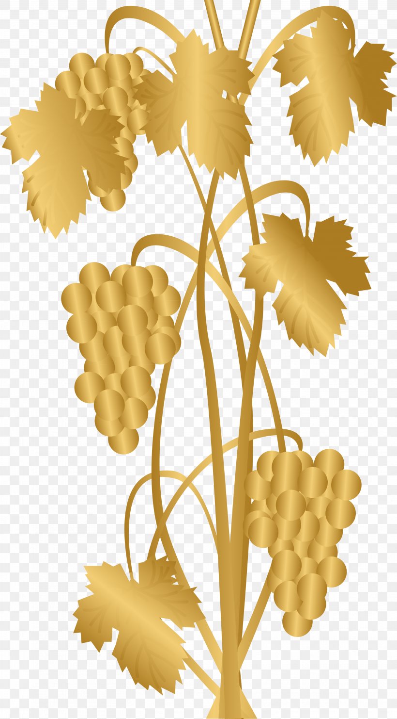 Flower Grape Tree Floral Design Branch, PNG, 3113x5629px, Flower, Branch, Commodity, Floral Design, Flowering Plant Download Free