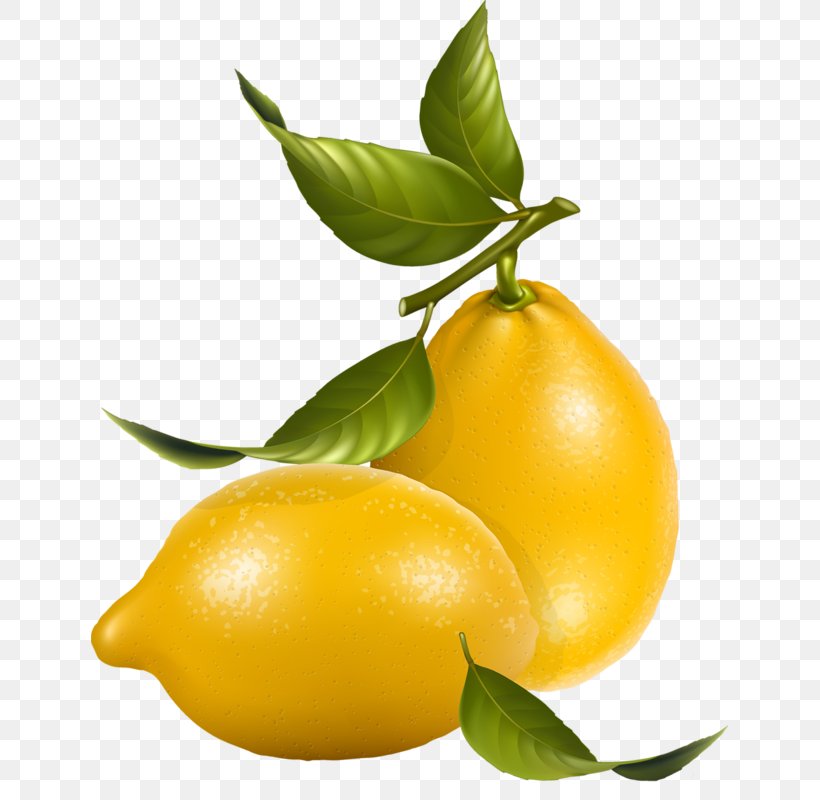 Lemon Royalty-free Clip Art, PNG, 637x800px, Lemon, Bitter Orange, Calamondin, Citric Acid, Citron Download Free