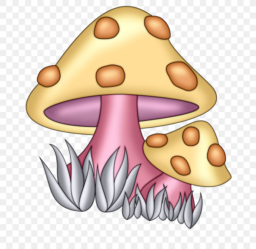 Mushroom Fungus Clip Art, PNG, 708x800px, Watercolor, Cartoon, Flower, Frame, Heart Download Free