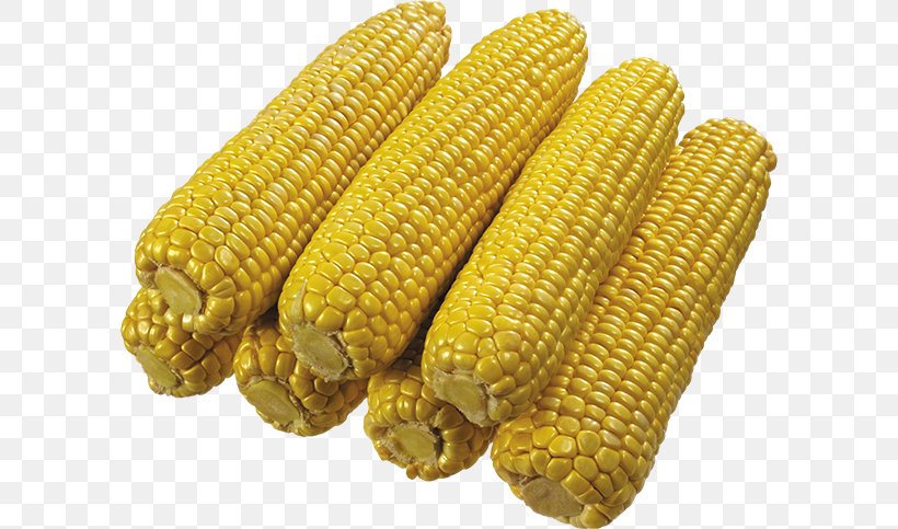 Corn On The Cob Maize IFolder DepositFiles, PNG, 600x483px, Corn On The Cob, Commodity, Corn Kernels, Depositfiles, Food Grain Download Free
