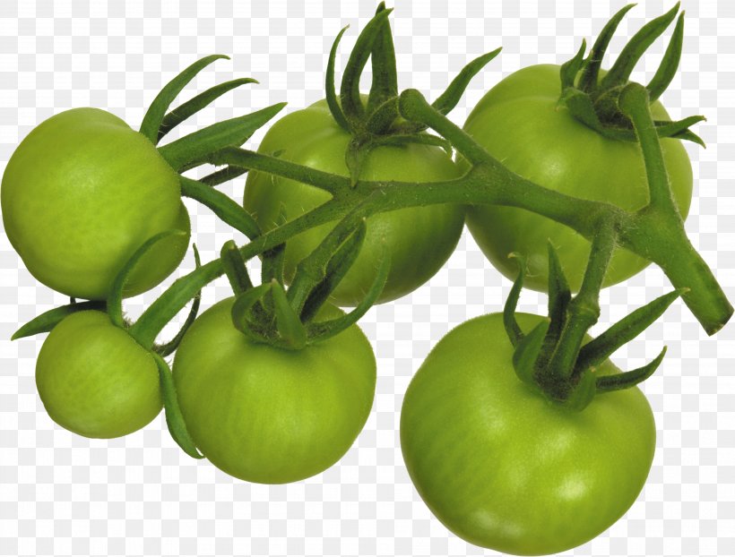 Tomato Tomatillo Food Vegetable Potato, PNG, 3812x2895px, Tomato, Black Nightshade, Bush Tomato, Cyan, Food Download Free