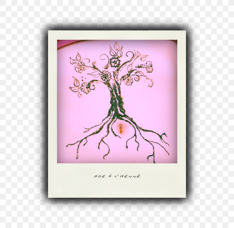 Flower Tree Pink M Font, PNG, 696x800px, Flower, Organism, Pink, Pink M, Purple Download Free