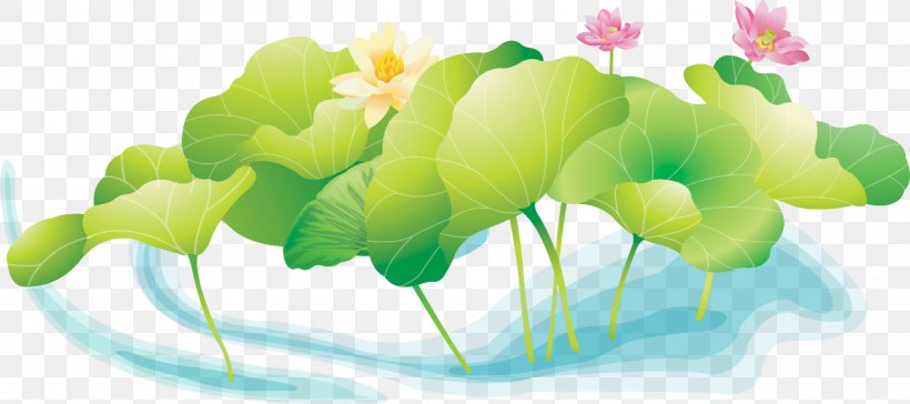 Koi Sacred Lotus 畫荷花 Pond Vector Graphics, PNG, 1266x562px, Koi, Birdandflower Painting, Common Carp, Fish, Ink Wash Painting Download Free