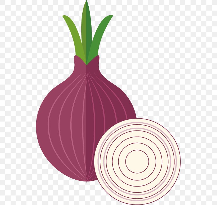 Shallot Icon, PNG, 547x776px, Shallot, Creativity, Flower, Food, Fruit Download Free