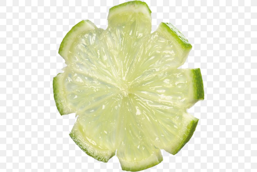 Key Lime Lemon-lime Drink Persian Lime, PNG, 485x550px, Lime, Citric Acid, Citron, Citrus, Drawing Download Free