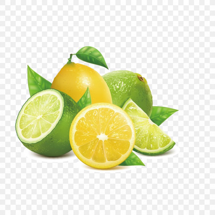 Lemon Key Lime, PNG, 1181x1181px, Lemon, Citric Acid, Citron, Citrus, Diet Food Download Free
