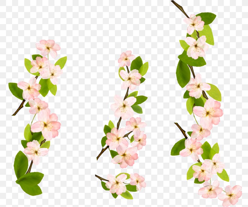 Cut Flowers Plant Stem Twig, PNG, 782x687px, Blossom, Branch, Cherry Blossom, Computer Software, Cut Flowers Download Free