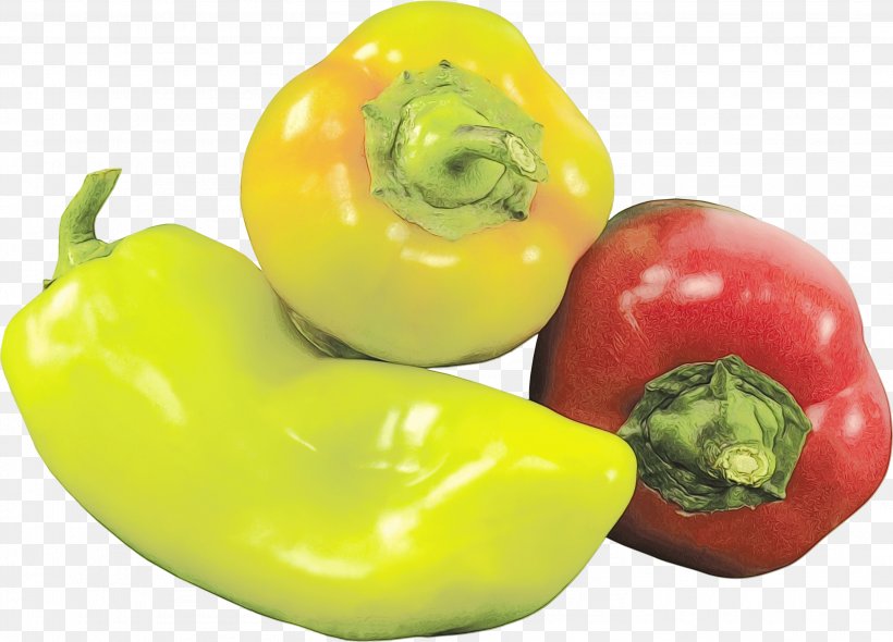 Vegetable Cartoon, PNG, 2927x2108px, Chili Pepper, Bell Pepper, Capsicum, Cayenne Pepper, Diet Download Free