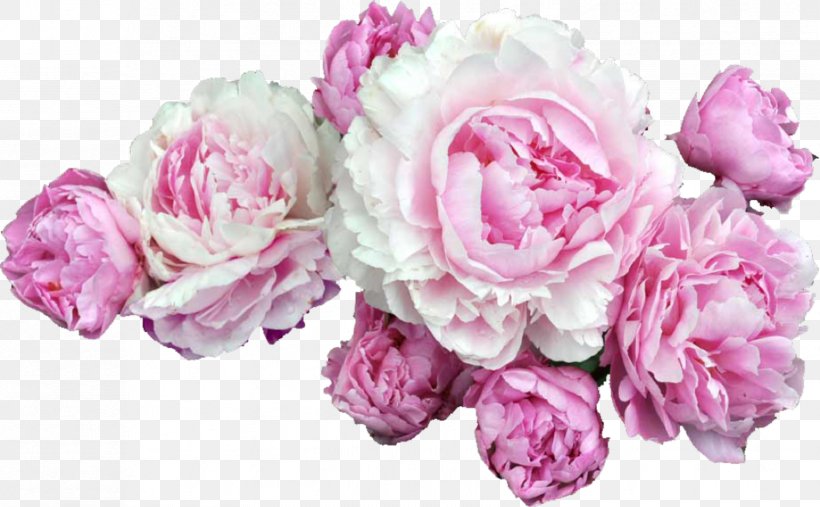 Cut Flowers Peony Clip Art Floral Design, PNG, 1653x1024px, Flower, Artificial Flower, Chinese Peony, Crown, Cut Flowers Download Free
