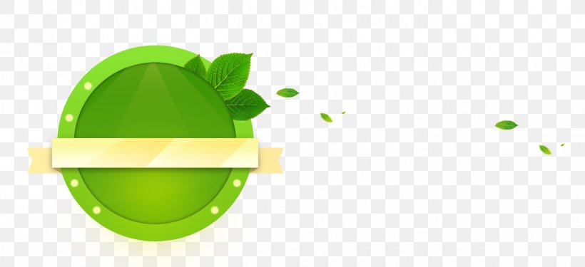 Green Disk Computer File, PNG, 1339x613px, Green, Digital Image, Disk, Eyewear, Leaf Download Free