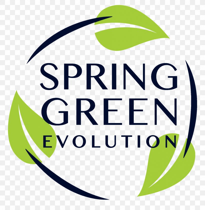 Logo Brand Font Green Clip Art, PNG, 1001x1024px, Logo, Area, Brand, Green, Leaf Download Free